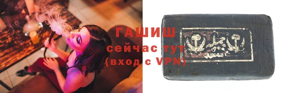 мдпв Козельск