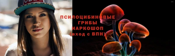 бошки Козловка