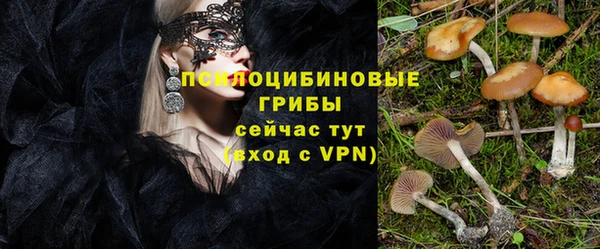 бошки Козловка