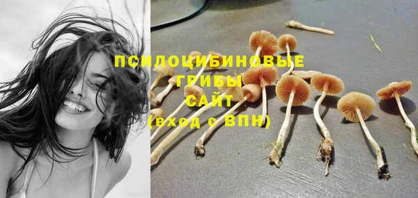 бошки Козловка