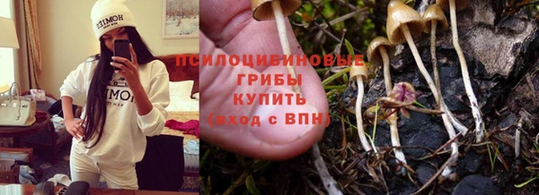 мдпв Козельск