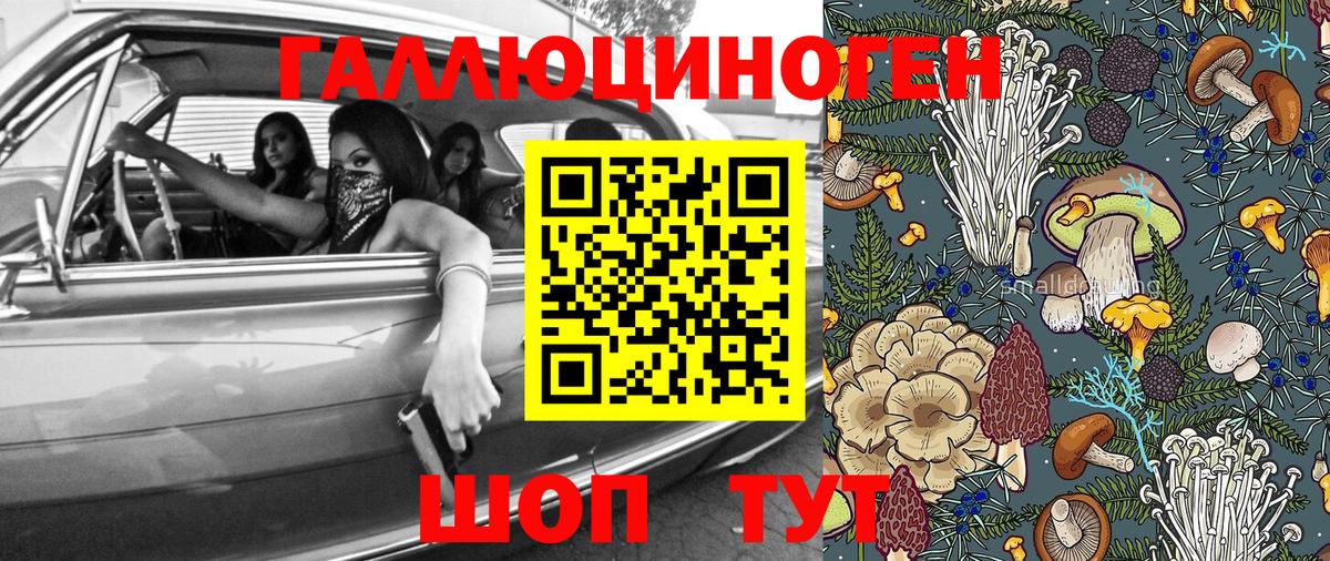 Галлюциногенные грибы мухоморы  Вход с VPN  Санкт-Петербург  Галлюциногенные грибы Psilocybine cubensis 